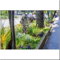 2022-04-29 Unterpflanzung 02.jpg